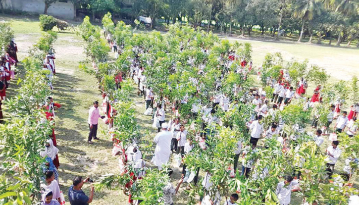 সাতক্ষীরায় শিক্ষার্থীদের হাতে হাতে গাছের চারা সাতক্ষীরায় শিক্ষার্থীদের হাতে হাতে গাছের চারা