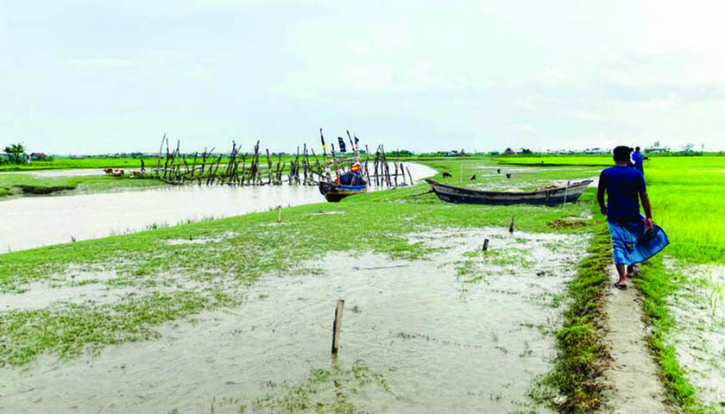 মেঘনার মোহনায় বঞ্চনা মেঘনার মোহনায় বঞ্চনা