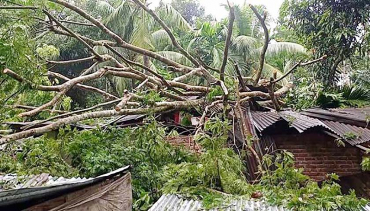 ৩৩ ঘণ্টা বিদ্যুৎ বিচ্ছিন্ন ঝালকাঠি ৩৩ ঘণ্টা বিদ্যুৎ বিচ্ছিন্ন ঝালকাঠি