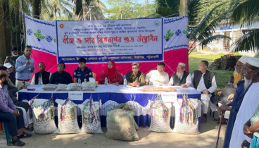 মির্জাগঞ্জে কৃষকদের মাঝে সার ও বীজ বিতরণ