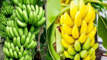 ফল পাকলে রং পরিবর্তন হয় যে কারণে