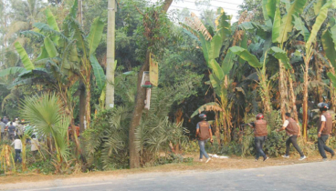 বগুড়ায় ১০ অবরোধকারী আ*হত