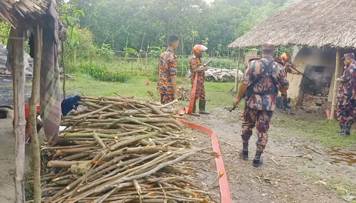 কাঠ পুড়িয়ে কয়লা তৈরি: পিতার জরিমানা, পুত্রের জেল 