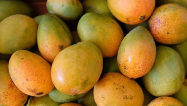 আম খাওয়ার ৪ অপকারিতা