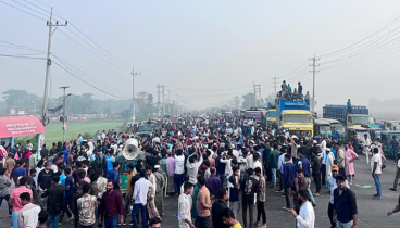 হাতি সরানোর দাবিতে কেইপিজেড–সংলগ্ন বিভিন্ন সড়ক অব*রোধ, ভোগান্তি