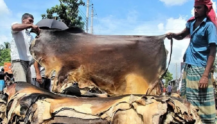 গরুর চামড়া ৬৫, খাসি ২৭ টাকা প্রতি বর্গফুট