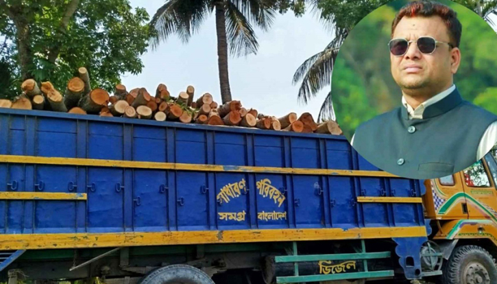 গাছ চুরির ঘটনায় ইউপি চেয়ারম্যানের নামে মামলা গাছ চুরির ঘটনায় ইউপি চেয়ারম্যানের নামে মামলা